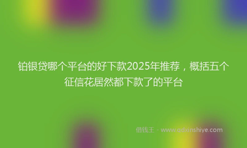铂银贷哪个平台的好下款2025年推荐，概括五个征信花居然都下款了的平台