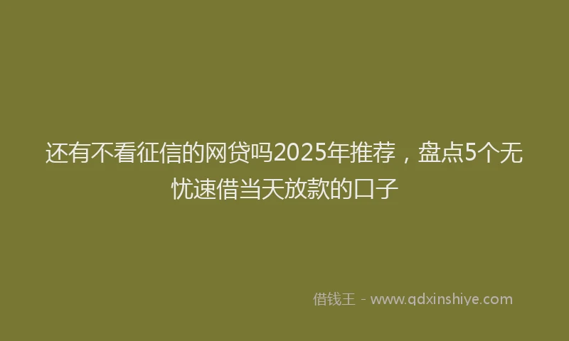 还有不看征信的网贷吗2025年推荐，盘点5个无忧速借当天放款的口子
