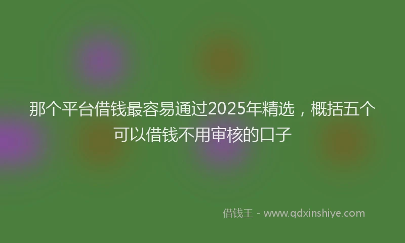 那个平台借钱最容易通过2025年精选，概括五个可以借钱不用审核的口子
