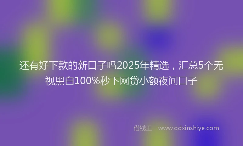 还有好下款的新口子吗2025年精选，汇总5个无视黑白100%秒下网贷小额夜间口子