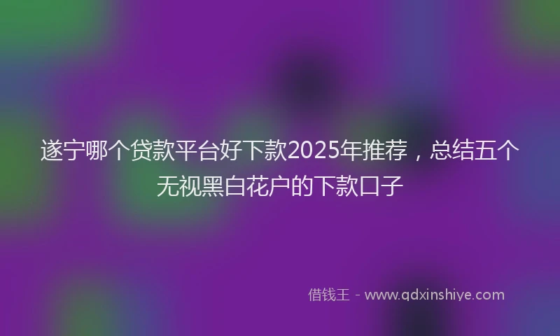 遂宁哪个贷款平台好下款2025年推荐，总结五个无视黑白花户的下款口子
