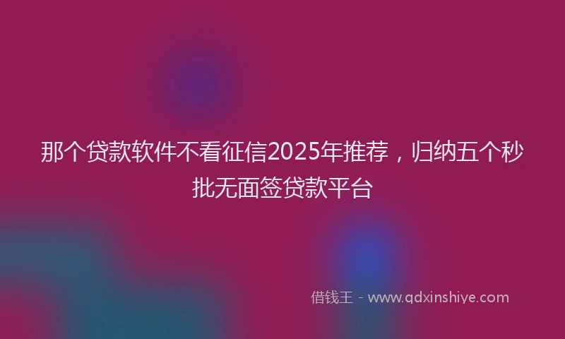 那个贷款软件不看征信2025年推荐，归纳五个秒批无面签贷款平台