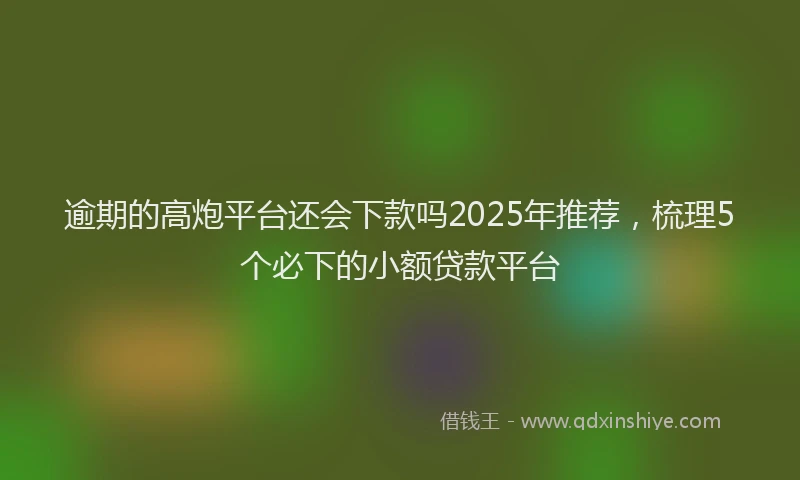 逾期的高炮平台还会下款吗2025年推荐，梳理5个必下的小额贷款平台