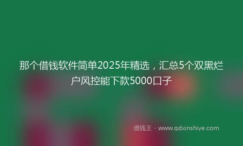 那个借钱软件简单2025年精选，汇总5个双黑烂户风控能下款5000口子