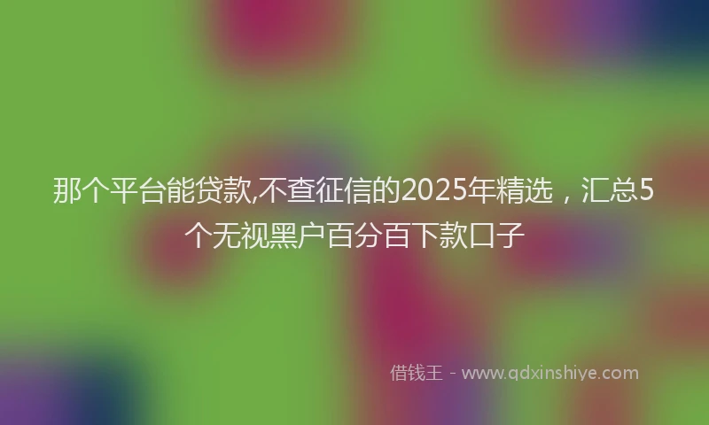 那个平台能贷款,不查征信的2025年精选，汇总5个无视黑户百分百下款口子