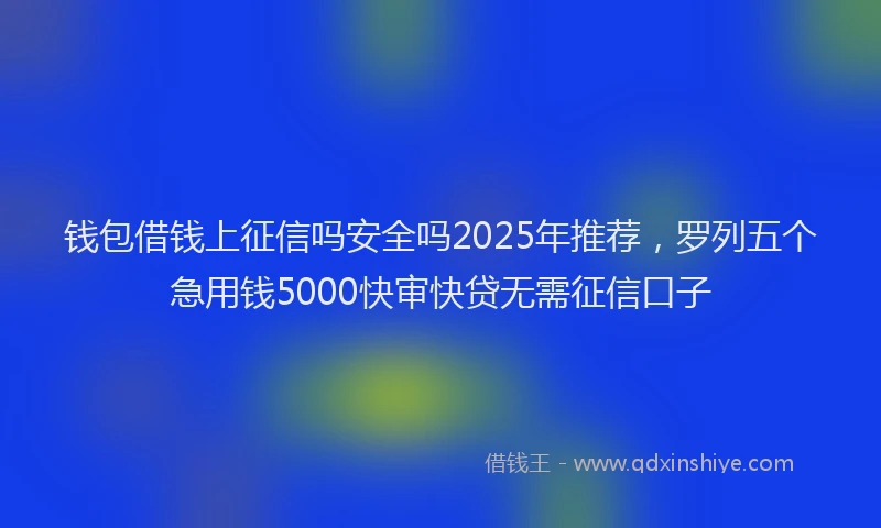 钱包借钱上征信吗安全吗2025年推荐，罗列五个急用钱5000快审快贷无需征信口子