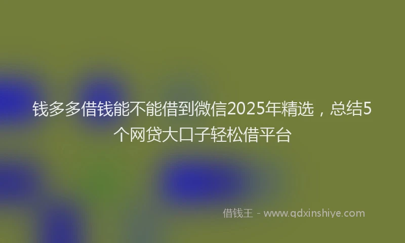 钱多多借钱能不能借到微信2025年精选，总结5个网贷大口子轻松借平台