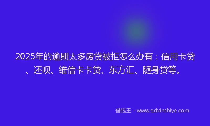 2025年的逾期太多房贷被拒怎么办有：信用卡贷、还呗、维信卡卡贷、东方汇、随身贷等。