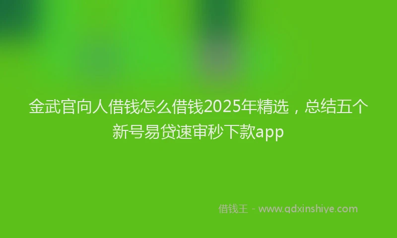金武官向人借钱怎么借钱2025年精选，总结五个新号易贷速审秒下款app