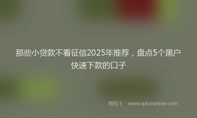 那些小贷款不看征信2025年推荐，盘点5个黑户快速下款的口子