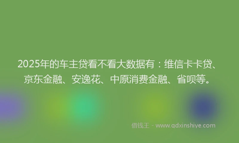 2025年的车主贷看不看大数据有：维信卡卡贷、京东金融、安逸花、中原消费金融、省呗等。