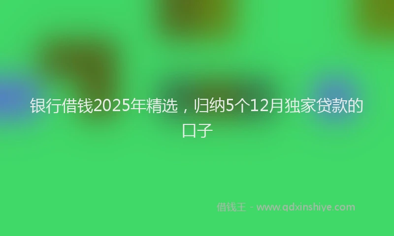 银行借钱2025年精选，归纳5个12月独家贷款的口子