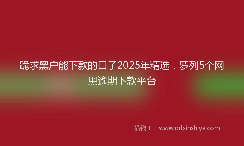 跪求黑户能下款的口子2025年精选，罗列5个网黑逾期下款平台