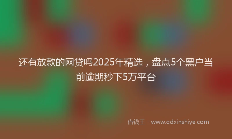还有放款的网贷吗2025年精选，盘点5个黑户当前逾期秒下5万平台