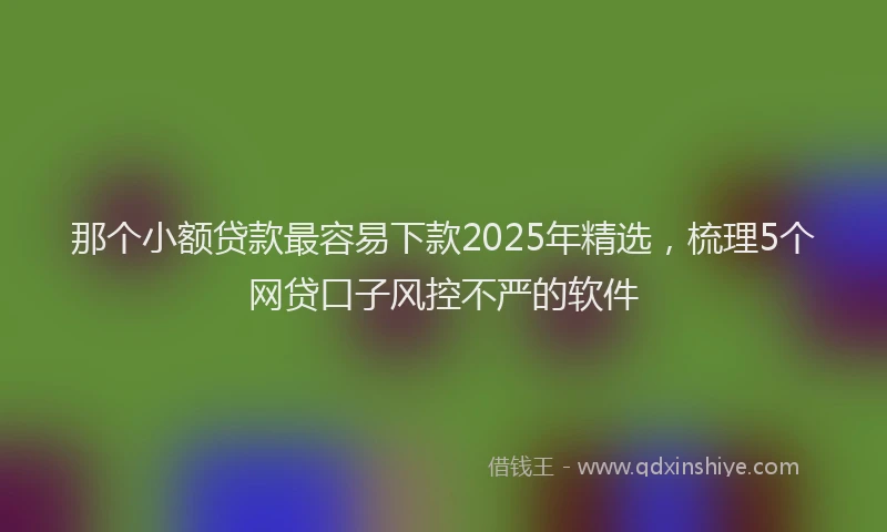 那个小额贷款最容易下款2025年精选，梳理5个网贷口子风控不严的软件