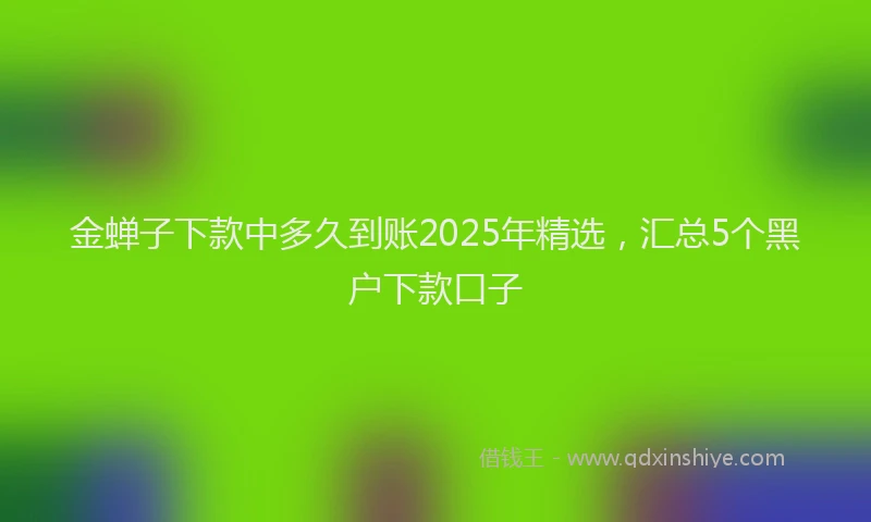 金蝉子下款中多久到账2025年精选，汇总5个黑户下款口子