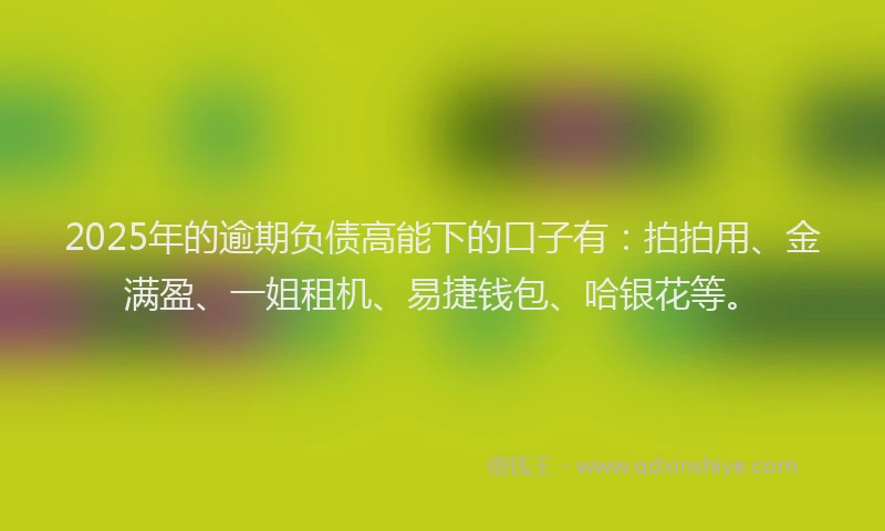2025年的逾期负债高能下的口子有：拍拍用、金满盈、一姐租机、易捷钱包、哈银花等。