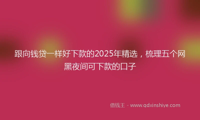 跟向钱贷一样好下款的2025年精选，梳理五个网黑夜间可下款的口子