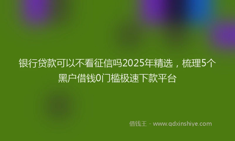 银行贷款可以不看征信吗2025年精选，梳理5个黑户借钱0门槛极速下款平台