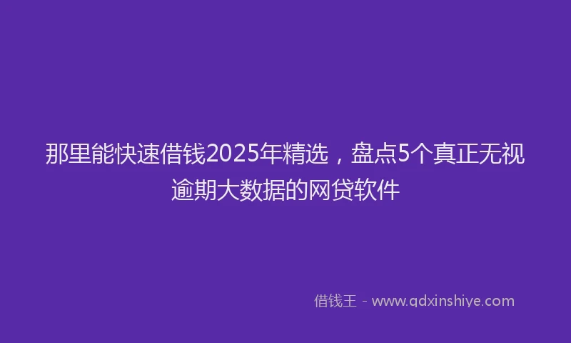 那里能快速借钱2025年精选，盘点5个真正无视逾期大数据的网贷软件