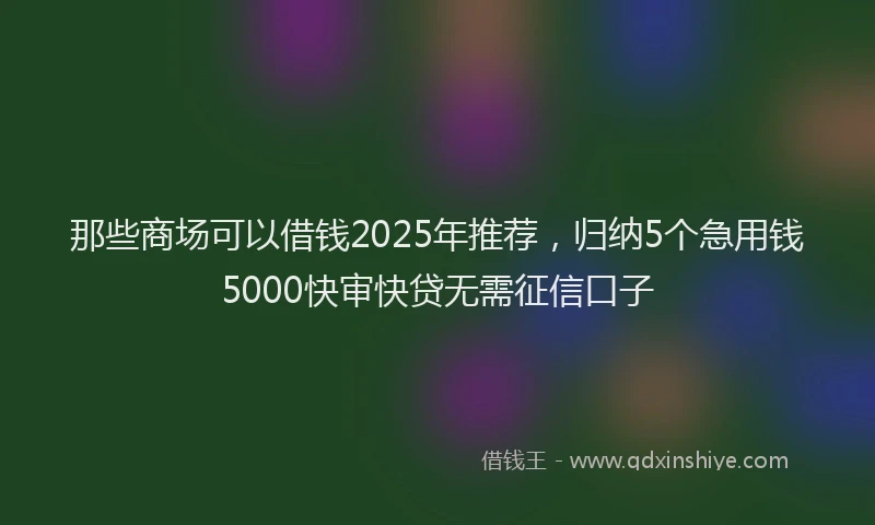 那些商场可以借钱2025年推荐，归纳5个急用钱5000快审快贷无需征信口子
