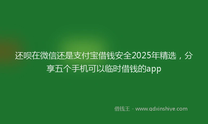 还呗在微信还是支付宝借钱安全2025年精选，分享五个手机可以临时借钱的app