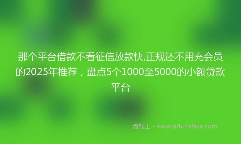 那个平台借款不看征信放款快,正规还不用充会员的2025年推荐，盘点5个1000至5000的小额贷款平台