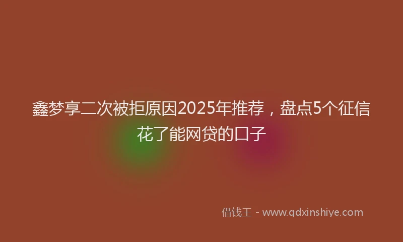 鑫梦享二次被拒原因2025年推荐，盘点5个征信花了能网贷的口子