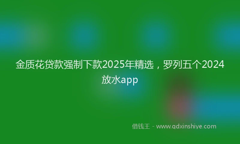金质花贷款强制下款2025年精选，罗列五个2024放水app