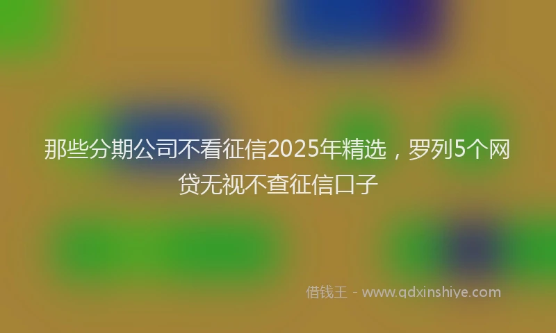 那些分期公司不看征信2025年精选，罗列5个网贷无视不查征信口子