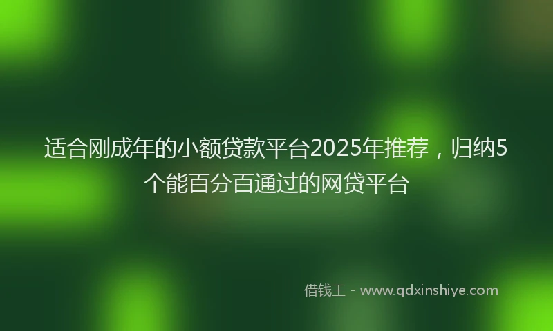 适合刚成年的小额贷款平台2025年推荐，归纳5个能百分百通过的网贷平台