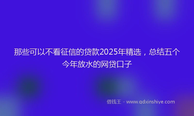 那些可以不看征信的贷款2025年精选，总结五个今年放水的网贷口子