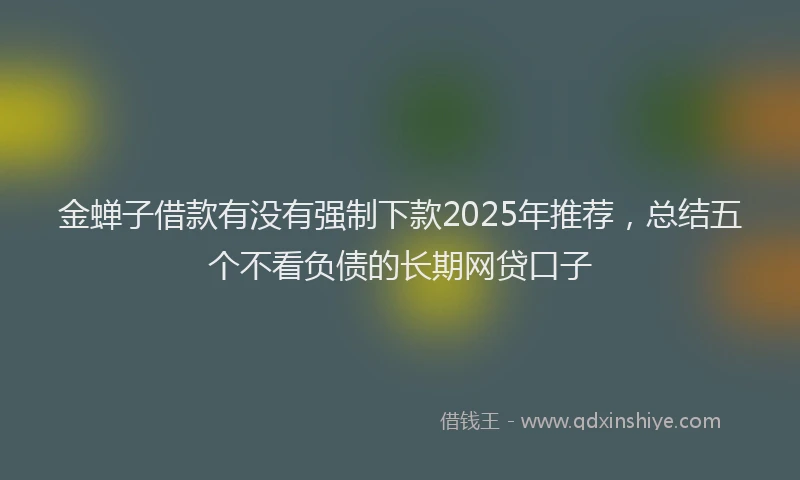 金蝉子借款有没有强制下款2025年推荐，总结五个不看负债的长期网贷口子
