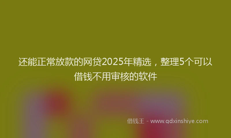 还能正常放款的网贷2025年精选，整理5个可以借钱不用审核的软件