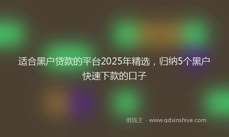 适合黑户贷款的平台2025年精选，归纳5个黑户快速下款的口子