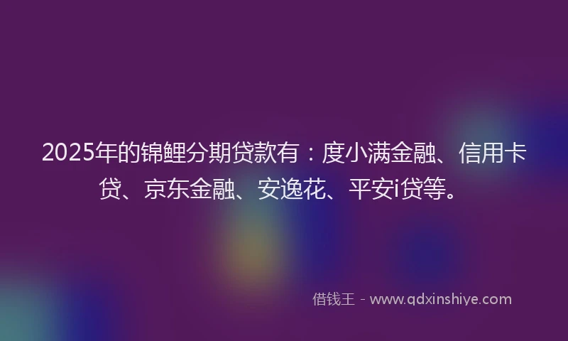 2025年的锦鲤分期贷款有：度小满金融、信用卡贷、京东金融、安逸花、平安i贷等。