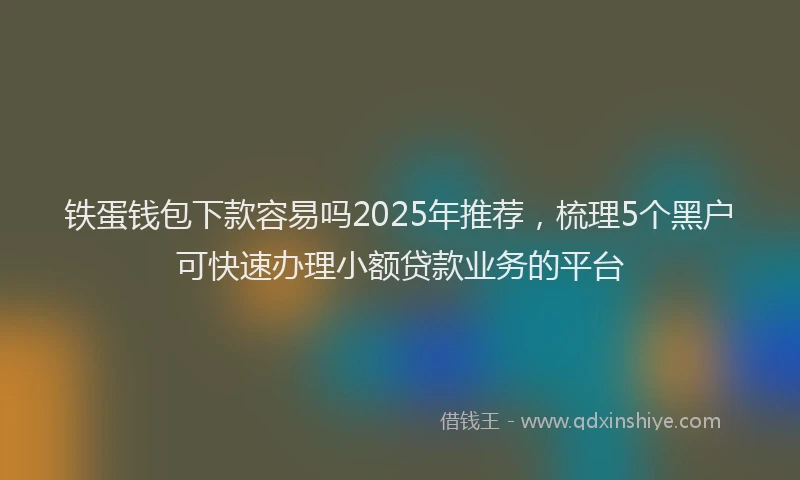 铁蛋钱包下款容易吗2025年推荐，梳理5个黑户可快速办理小额贷款业务的平台