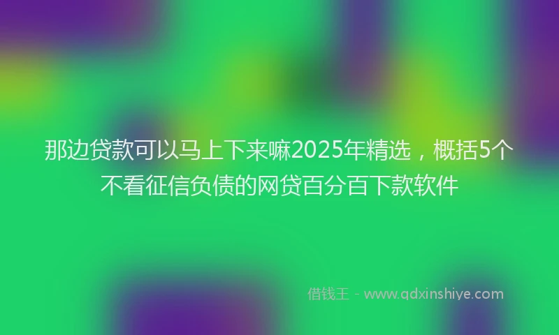 那边贷款可以马上下来嘛2025年精选，概括5个不看征信负债的网贷百分百下款软件