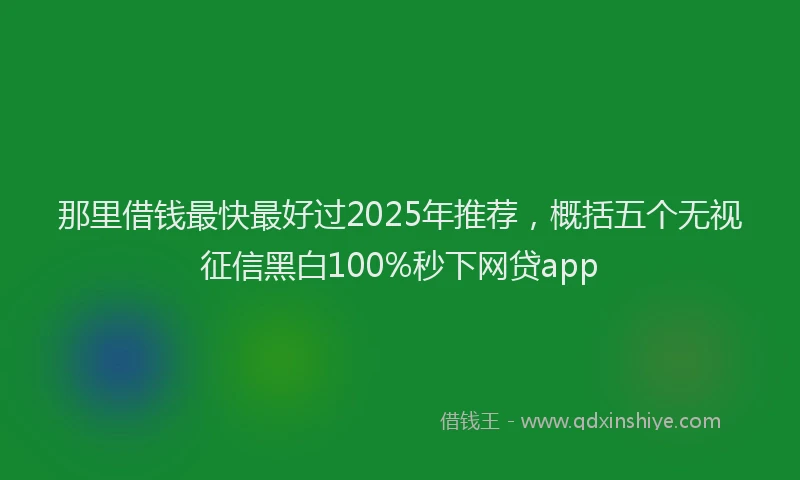 那里借钱最快最好过2025年推荐，概括五个无视征信黑白100%秒下网贷app
