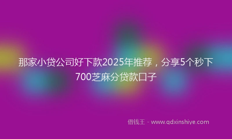 那家小贷公司好下款2025年推荐，分享5个秒下700芝麻分贷款口子