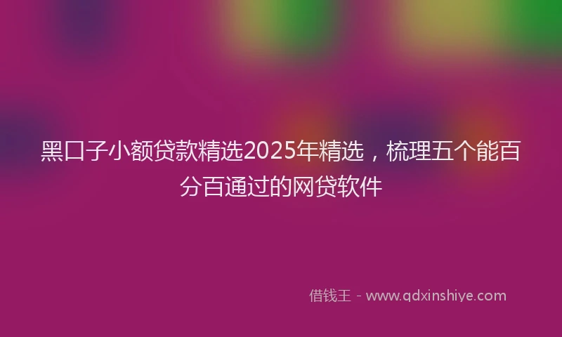 黑口子小额贷款精选2025年精选，梳理五个能百分百通过的网贷软件