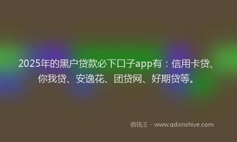 2025年的黑户贷款必下口子app有：信用卡贷、你我贷、安逸花、团贷网、好期贷等。