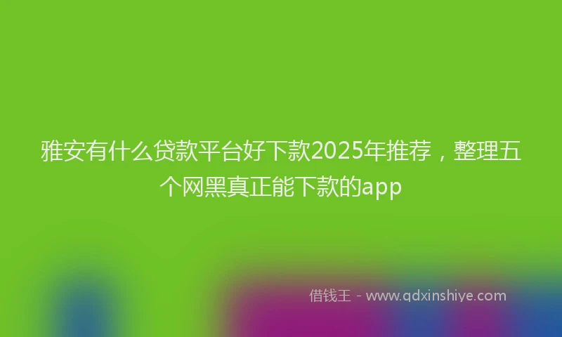 雅安有什么贷款平台好下款2025年推荐，整理五个网黑真正能下款的app