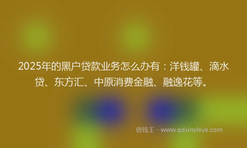 2025年的黑户贷款业务怎么办有：洋钱罐、滴水贷、东方汇、中原消费金融、融逸花等。