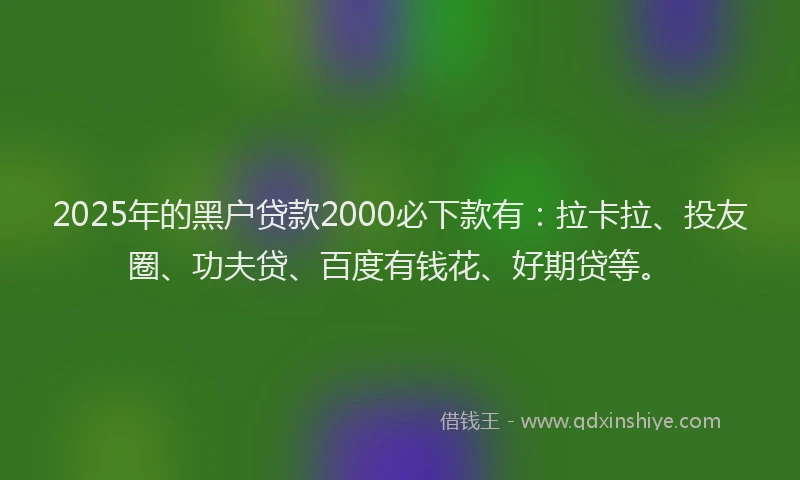 2025年的黑户贷款2000必下款有：拉卡拉、投友圈、功夫贷、百度有钱花、好期贷等。