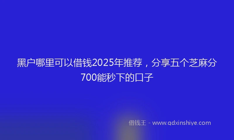 黑户哪里可以借钱2025年推荐，分享五个芝麻分700能秒下的口子