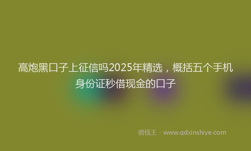 高炮黑口子上征信吗2025年精选，概括五个手机身份证秒借现金的口子