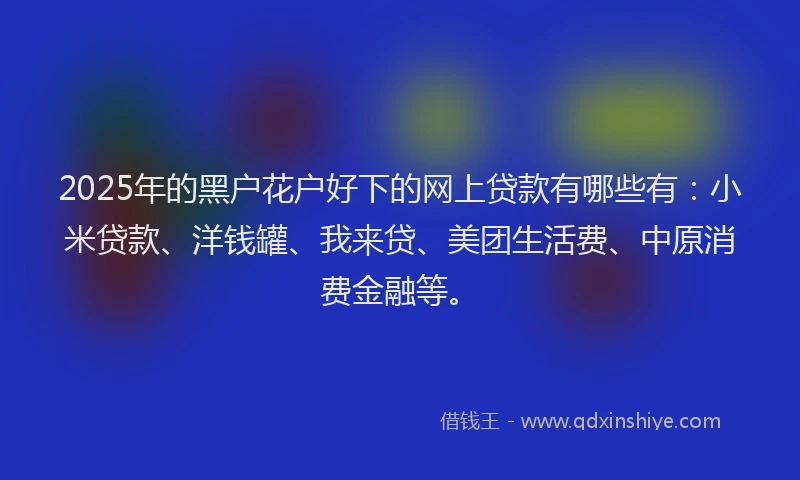 2025年的黑户花户好下的网上贷款有哪些有：小米贷款、洋钱罐、我来贷、美团生活费、中原消费金融等。