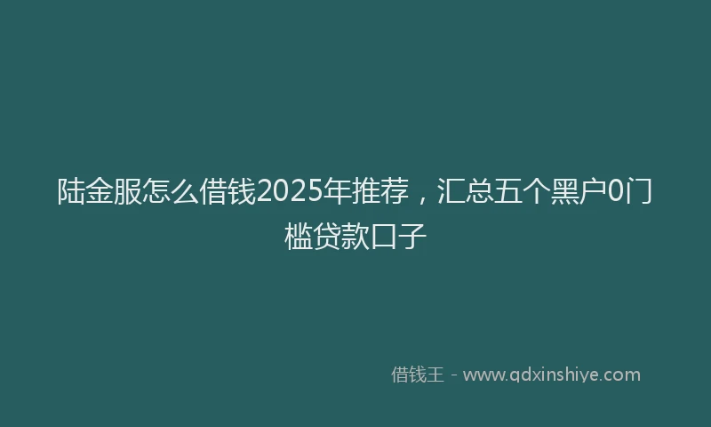 陆金服怎么借钱2025年推荐，汇总五个黑户0门槛贷款口子