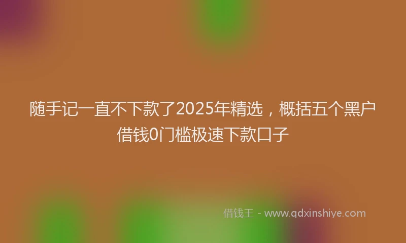 随手记一直不下款了2025年精选，概括五个黑户借钱0门槛极速下款口子
